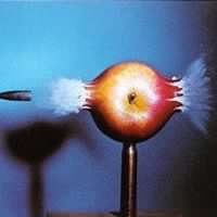 Patrick Cote Photo 12