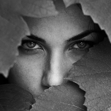 Mike Field Photo 36 Mike Field Photo 36