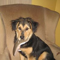 Susan Mclendon Photo 21