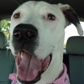 Elizabeth Ricci Photo 15