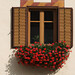 Al Albrecht Photo 8
