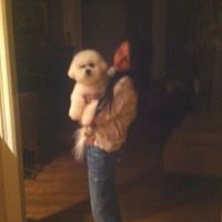 Wally Watkins Photo 2