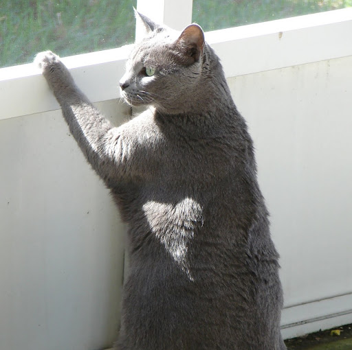 Staci Williams Photo 32