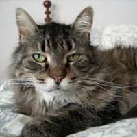 Kelly Larson Photo 24