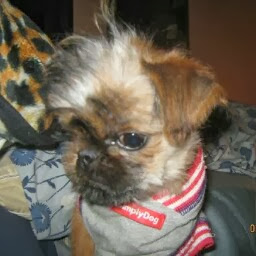 Tammy Martin Photo 44