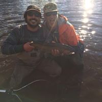 Sean Rogers Photo 19 Sean Rogers Photo 19