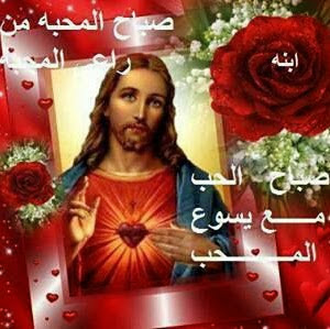 Micheal Gerges Photo 4