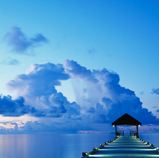 Julie Milburn Photo 13