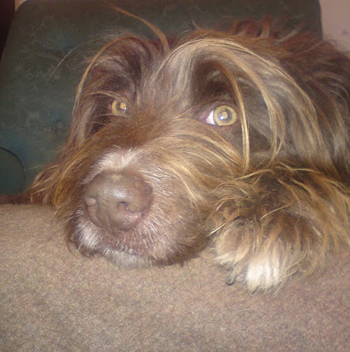 Steven Passmore Photo 11