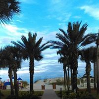 Carolyn Gordon Photo 17