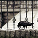 Rebecca Crow Photo 26