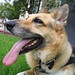 Jerry Shepherd Photo 17