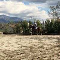 Nick Alexander Photo 29