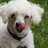 April Ritchie Photo 25