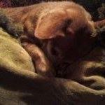 Martha Kiser Photo 2