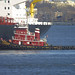 Charles Trout Photo 24