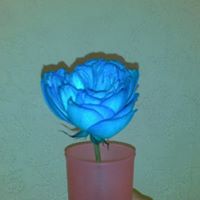 Joseph Black Photo 19 Joseph Black Photo 19