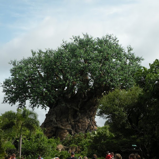 Shawn Chapman Photo 42