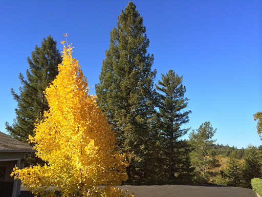 David Christopher Photo 34 David Christopher Photo 34