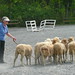 Nancy Starkey Photo 30