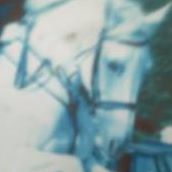 Debbie Murphy Photo 15