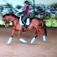 Paula Pratt Photo 31