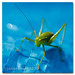 Jason Hopper Photo 8