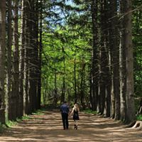 Brian Lloyd Photo 18