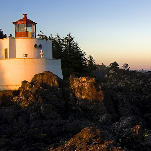 Sue Pickering Photo 25