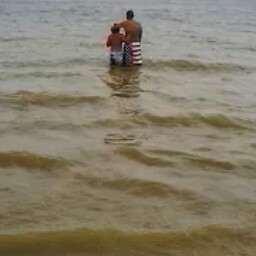 Robert Snell Photo 10 Robert Snell Photo 10