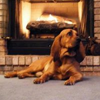 Michael Mallett Photo 19 Michael Mallett Photo 19