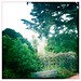 Elizabeth Bowles Photo 15