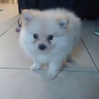 Jennifer Dixon Photo 30