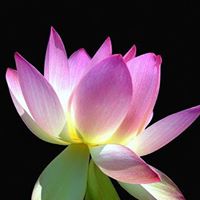 Deborah Boykin Photo 13