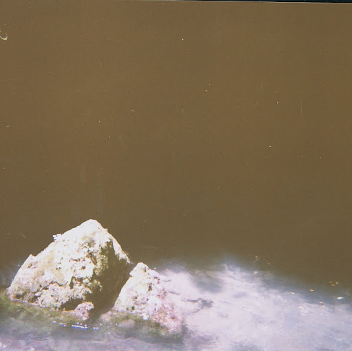 Juanita Hayes Photo 10