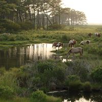 Joseph Evans Photo 34