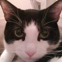 Pauline Nash Photo 20