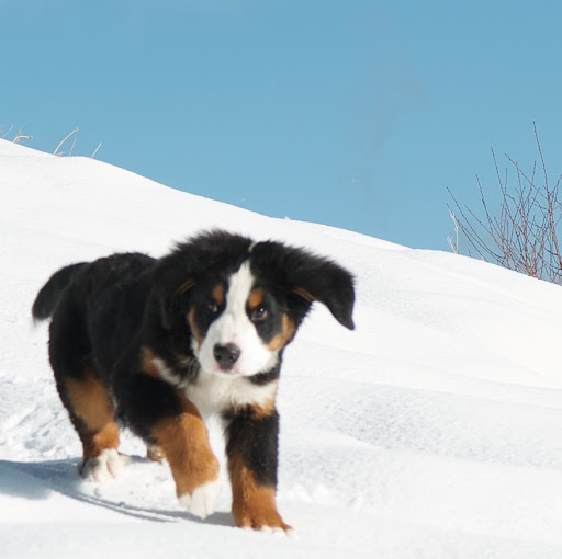 Cindy Cohn Photo 20 Cindy Cohn Photo 20