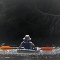 Janice Macleod Photo 13