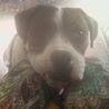 Douglas Floyd Photo 33
