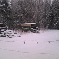 Carolyn Patrick Photo 26