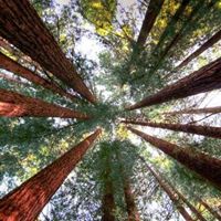 Jerry Steele Photo 23