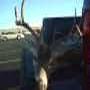 James Scroggins Photo 11
