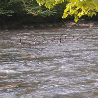 Christopher Wynn Photo 18