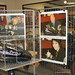 Joan Shafer Photo 14