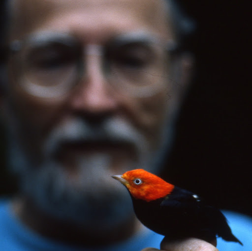 Joseph Sheldon Photo 22