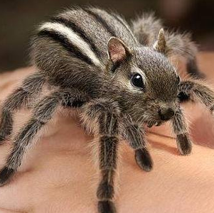 Bryce Hunter Photo 26