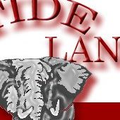 Allan Leach Photo 15