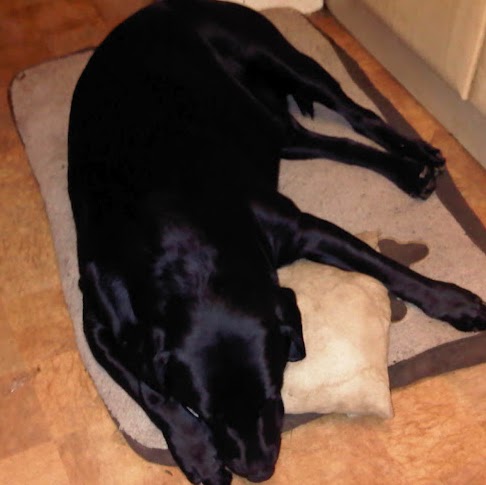 Rebecca Mcnamee Photo 3