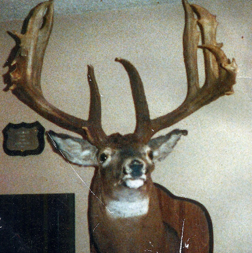 Suzanne Ramsey Photo 15